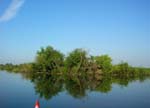 Mincio Park (Mantova)